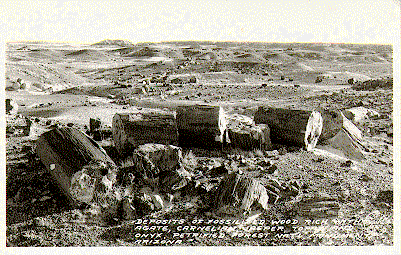 Postcard:  Deposits of Fossil Wood in Petrified Forest National Monument