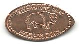 Yellowstone Park.  American Bison