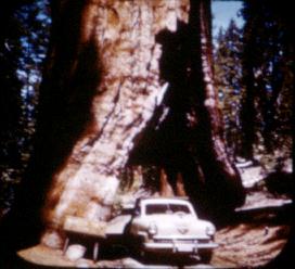 View-Master 3D 3-Reel Card Yosemite National Park Kuwait